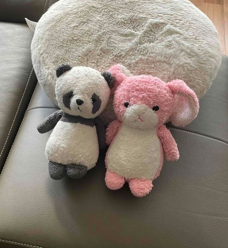 ひさしぶりのおやすみ。ずっとねてました💤