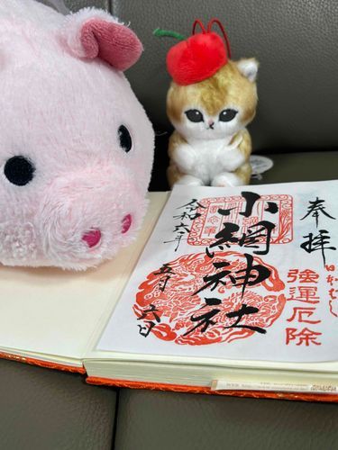 さんぱいしてきました。
みなさんのけんこうでしあわせなひびがつづきますように。ついでにおかねがたまるといいな💰