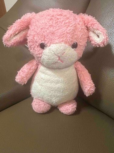 きょうはあつかった。。
やよいしきラヴィです🐰