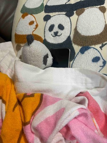 昨日は寝落ちしゃった🐼
台風大丈夫かな🌀