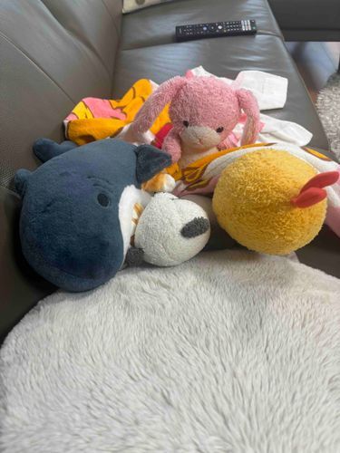 こんな所で寝てちゃダメだよ🐰