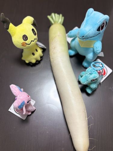 トレーナーが買ってきたデカ大根に群がるのこたろ一家。デカすぎて袋に入らず片手に装備して持ち帰ってきた。
トレーナー「ひのきのぼうより強いぞ」
一家「知らないもちものですねぇ…」
