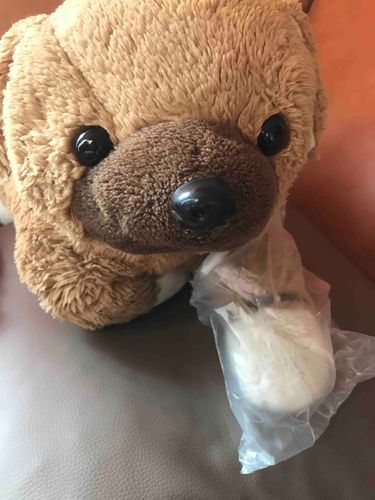 今日は、お姉ちゃんは、お家の大掃除をするから忙しいんだって。

へへへ、
ビニールみつけた～

ビニールにおててをいれて動かしたら、シャカシャカって音がなって楽しいよ。