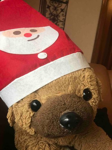 メリークリスマス🎄

お姉ちゃんが、
今日は、高いお肉を焼いて食べるよって言ってた。