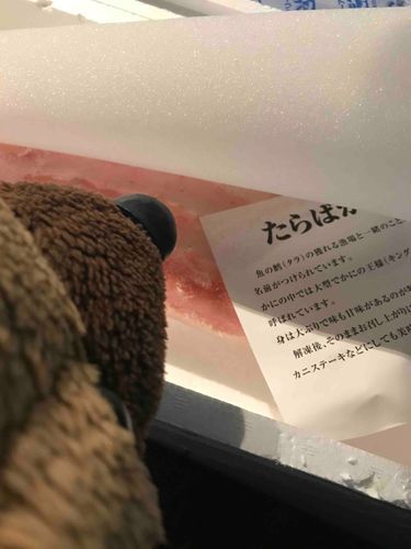 カニが来た。