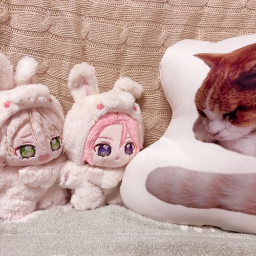 ぬしさんの「ごじっか」のねこさんにごあいさつしたよォ🐱♩