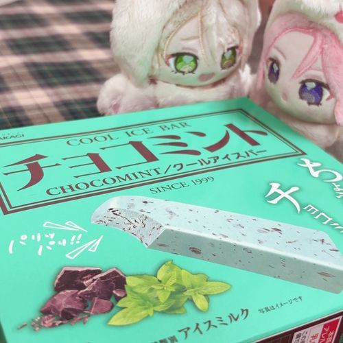 あたらしいチョコミントアイスだねェ🌿♡
(美味い)