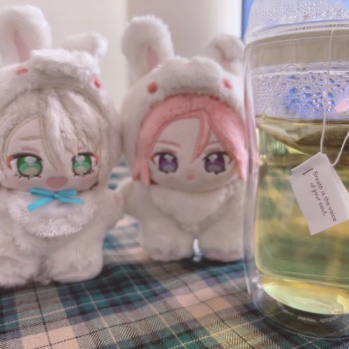 ぬしさんがおつかれだったから「カモミールティー」にしたよォ🎶
なんや「かくげん」みたいなえいごがかいてあるで、らぶはんよめる？
……りらっくすしようねェ🎶