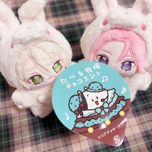 しんさくの『チョコミントアイス』や！
『パッケージ』がらぶいよォ