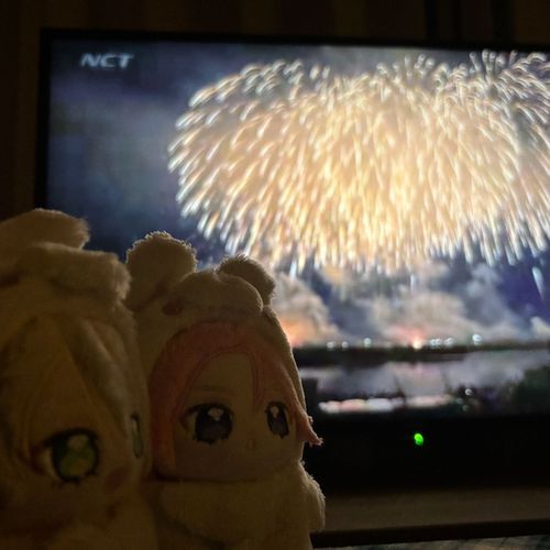 「長岡花火大会」をてれびでみたよォ〜♩
らいねんはぬしはんにどこかにつれてってもらおな♩