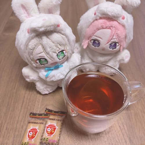 ホットルイボスティーにハマってるらしいよォ♪