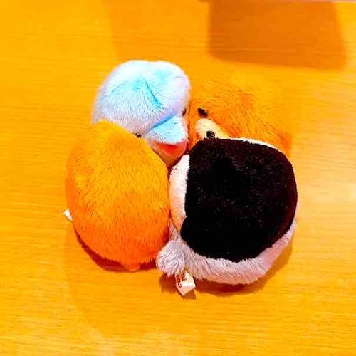 さむいよね