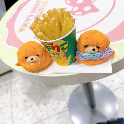できたて ほやほや