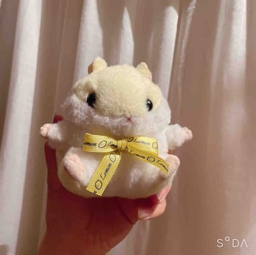 おしりにレモンの香り玉がありました　芳香のピークが去ってからの人生にも味はあります　人生は続いていきます　