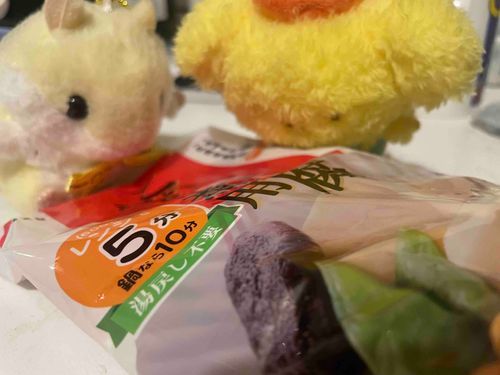 高野豆腐