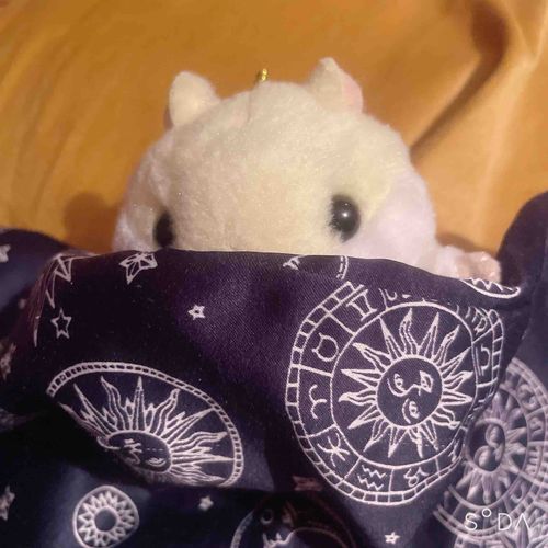 ちぃとも眠れんぜ