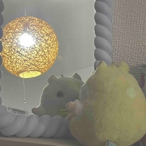 ひっこし　準備　めんどくさい　ね