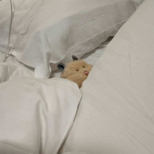 もう起きる…？
