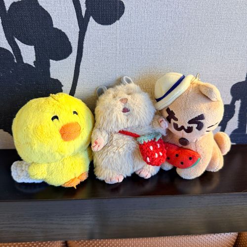 今日はこの3人で遠征