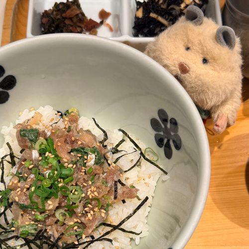 見えないんだｹﾛ…
