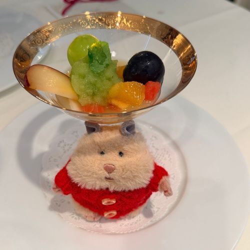 フルーツ🍇🌿食べたいんだﾖ…