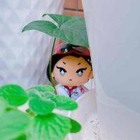 博士