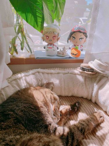 お茶に誘おうと思ったけどねてる