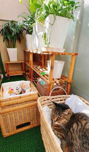博士だ
ぬいぐるみの仕事のひとつに「ひなたぼっこ」がある
綿をふわふわにするために欠かせない大切な仕事だ
今日も忙しいよ
