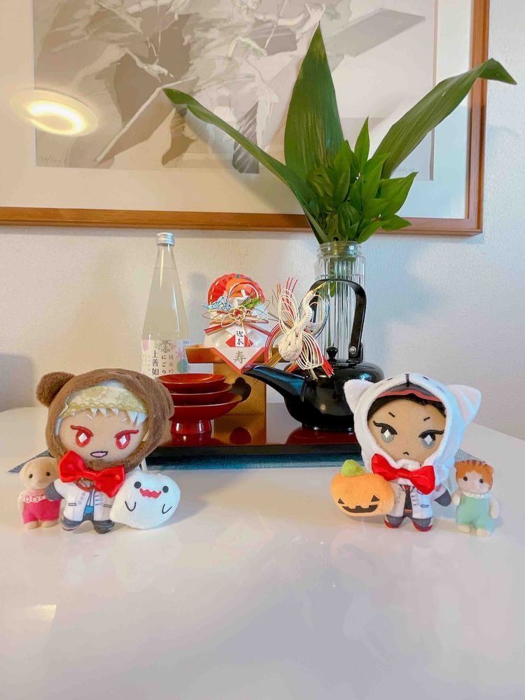 博士だ
1月はごちそうと写真を撮ったり
お風呂に入って干されたり
いそがしい毎日だったよ

世界中のぬいぐるみのみなさん
今年もよろしく