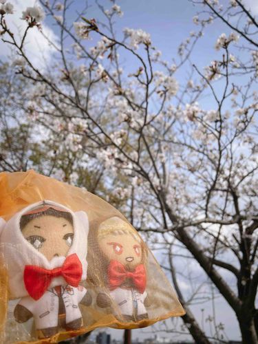 博士だ
みんなが住んでる場所はもう桜は満開になったかな？
こちらはあと一歩ってところだ