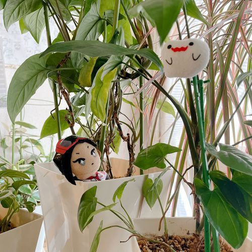 ハロウィンシーズンはおばけがおおはしゃぎだ
