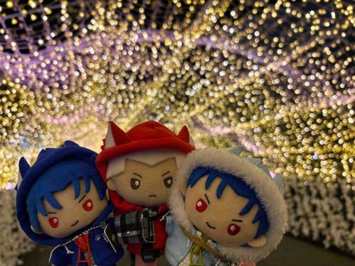 昨日はイルミネーションを見てきたぞ！綺麗だったぜ…！