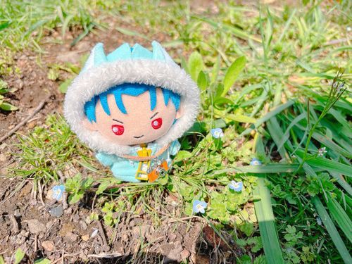 天気がいいから散策してきたぜ！
これはオオイヌノフグリだな