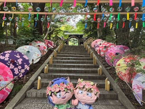 今日はHANA・BIYORIに行ってきたぞ！とても素敵な空間だったな！
もそ！