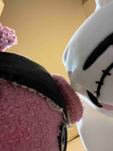 自撮りしたよ