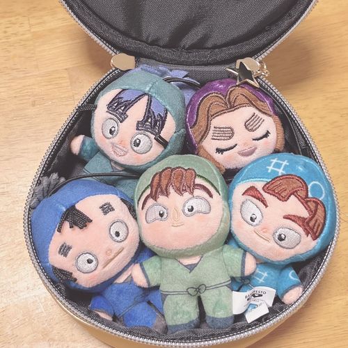 ぬいの住処にどうかと思いつつ持て余してたポーチぴったりでとても嬉しい✨
