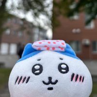 豪徳寺