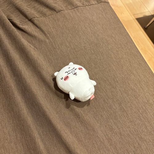 引っ越しで疲れてつらそうだけど達成感を味わってるちい