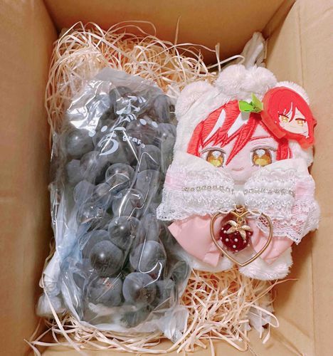 ぶどうをたべたよ🍇