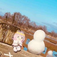 ゔぉぬ