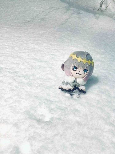 雪すごい❄