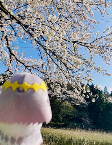 フウリュウとかミヤビとかよくわかんないや