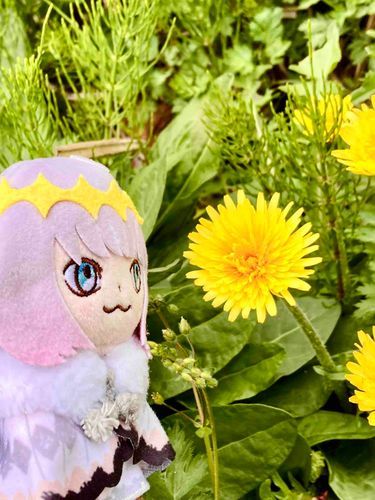 春だねえ
