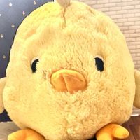 したもち