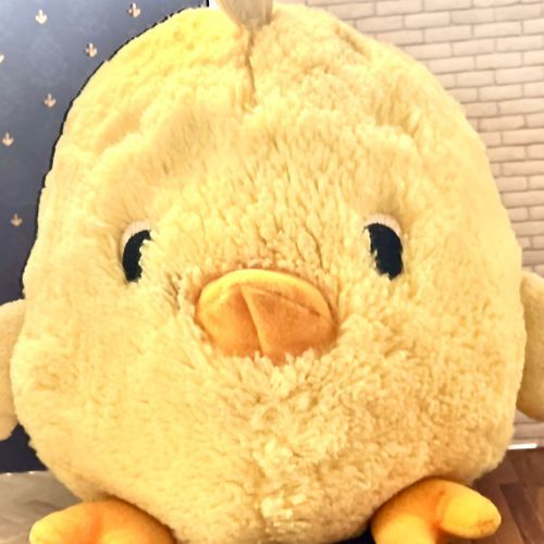 最近始めたばっかりだからやり方が全然わからない...
仲良くしていただけると嬉しいです;;