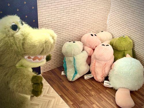 お家に仲間がたくさん増えました。『わぁ、食べないでよぉ...;;』