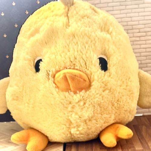 この子はうちにずっといる最年長の子です。