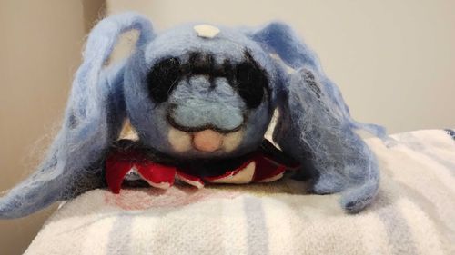 ボクはピコ♀
デジモンだよ🦇ﾋﾟｯ
_(⃔* ॑꒳ ॑*_ )⃕↝ﾁｮｺﾝ
