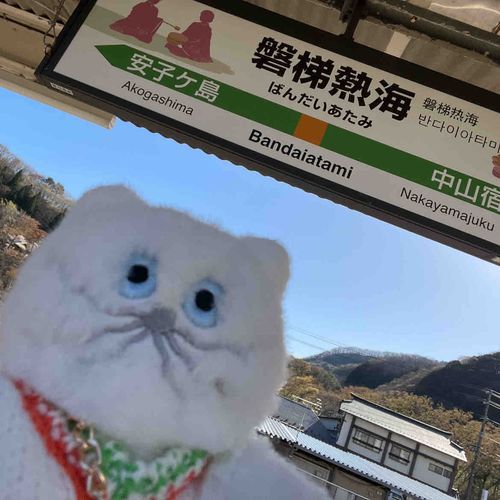 くたは じどりもできる