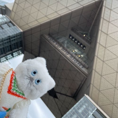 きのう でざへす いったの〜